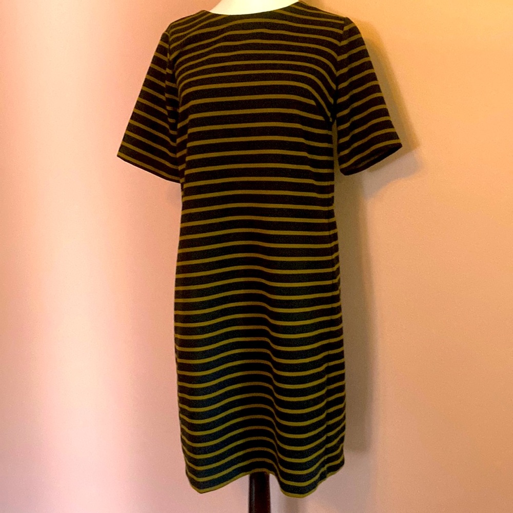 Loft M Petite dress